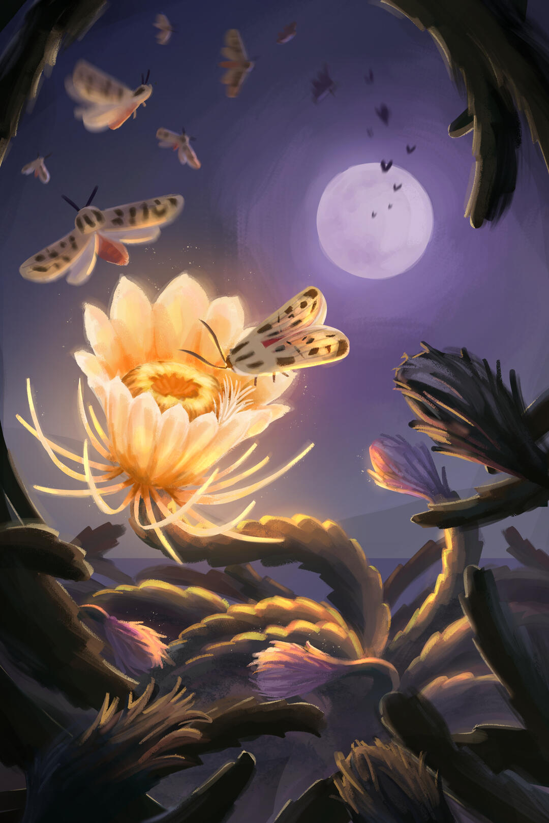 The Night Bloom
